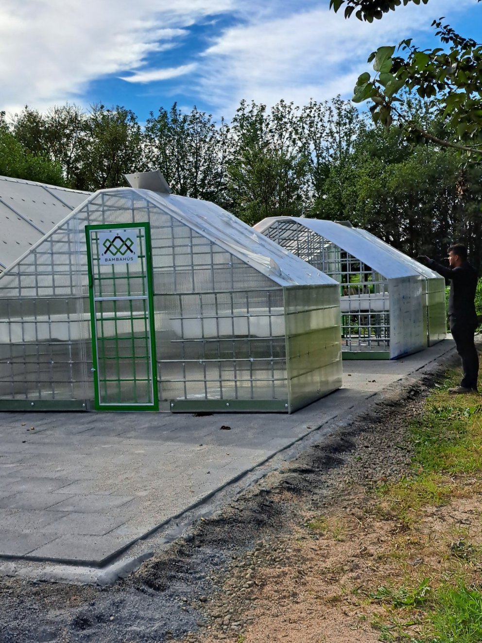 Bambahús Akrasels komin í skógræktin