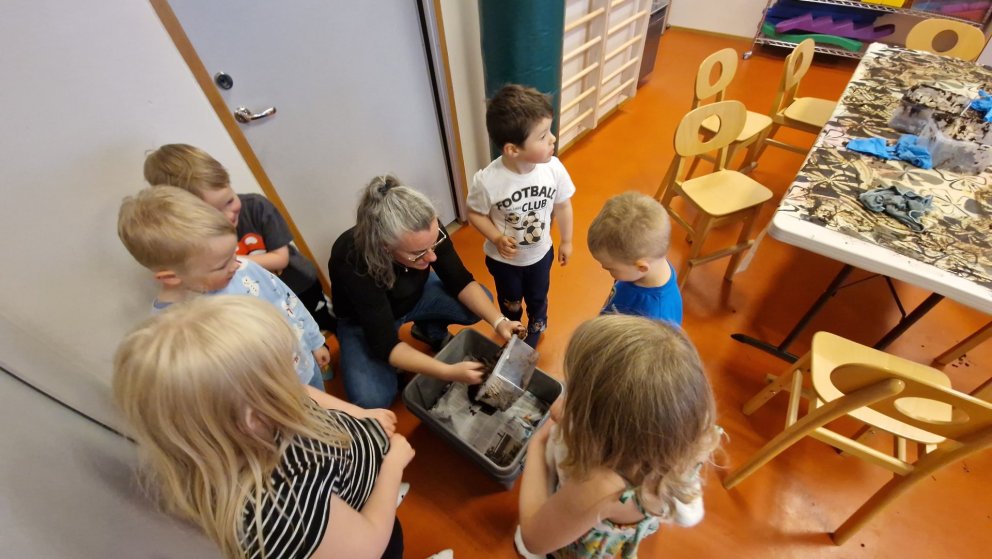 Ormavinna í Akraseli