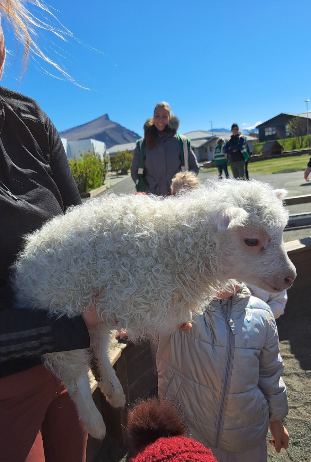 Fengum lítil lömb í heimsókn