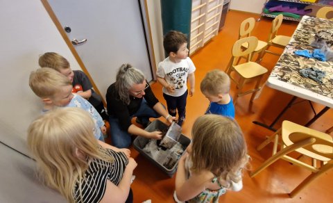 Ormavinna í Akraseli