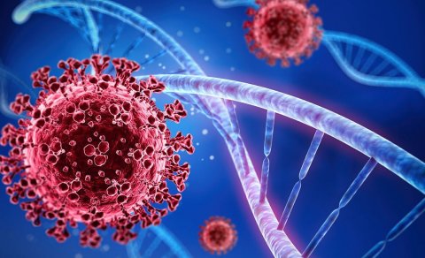 Leikskólinn í COVID lokun